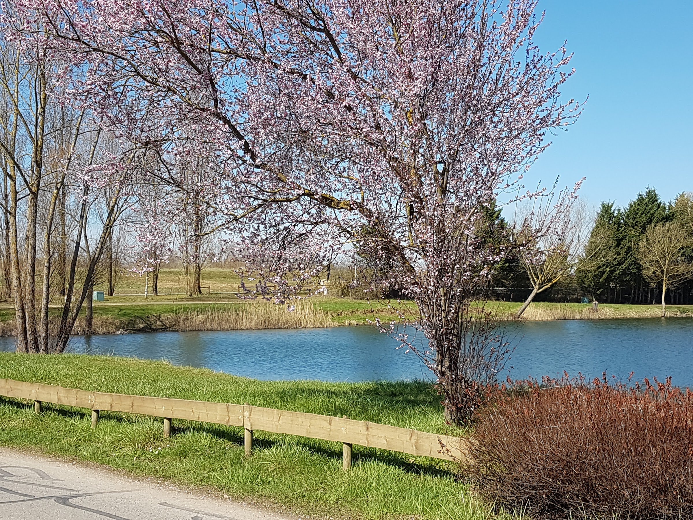 Camping du Port (Nautic-Ham) - Camping du Port